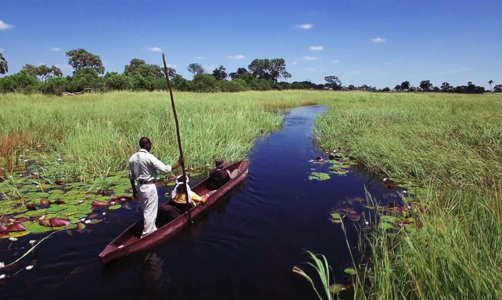 Okavango Mokoro trips with Shangana Safaris