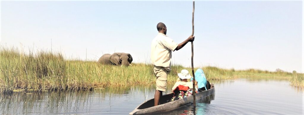 Mokoro safari in the Okavango Delta with guide and guests passing an elephant on the floodplain.