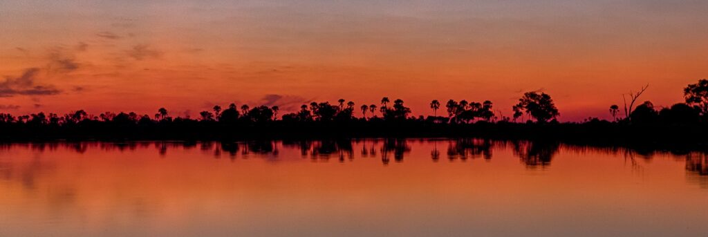Evening sunset over an Okavango Delta lagoon with palm trees along the shoreline.