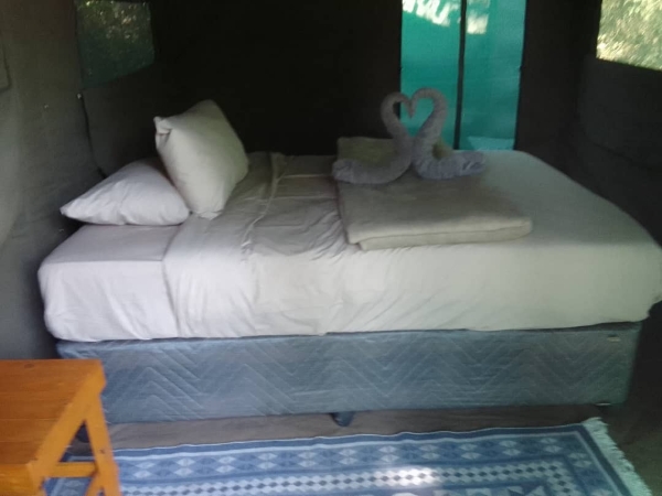 Meru tent interior at Lazy River camp.